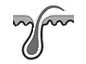 box1